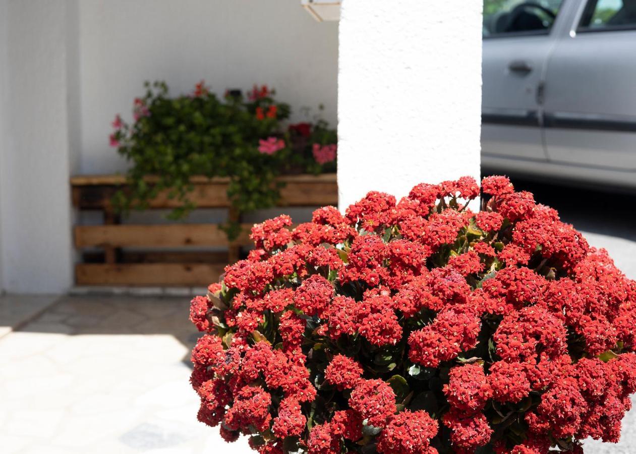 Miro Apartamento Senj  Exterior foto